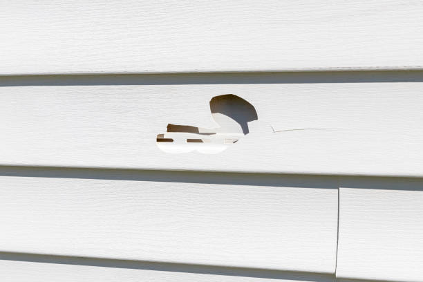 Best Hoarding Cleanup  in Limestone Creek, FL